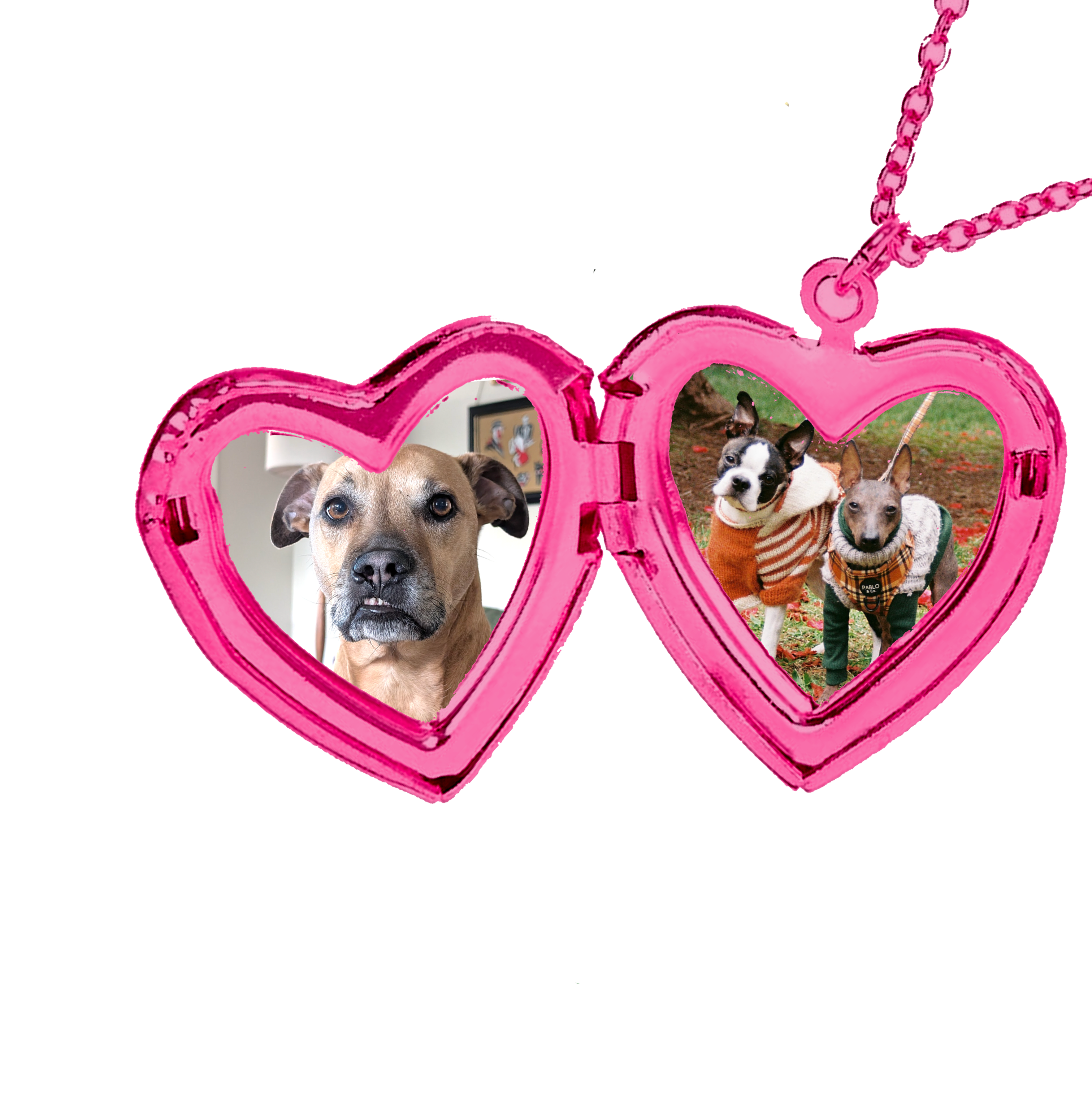 Heart-shaped locket necklace with rescue dogs