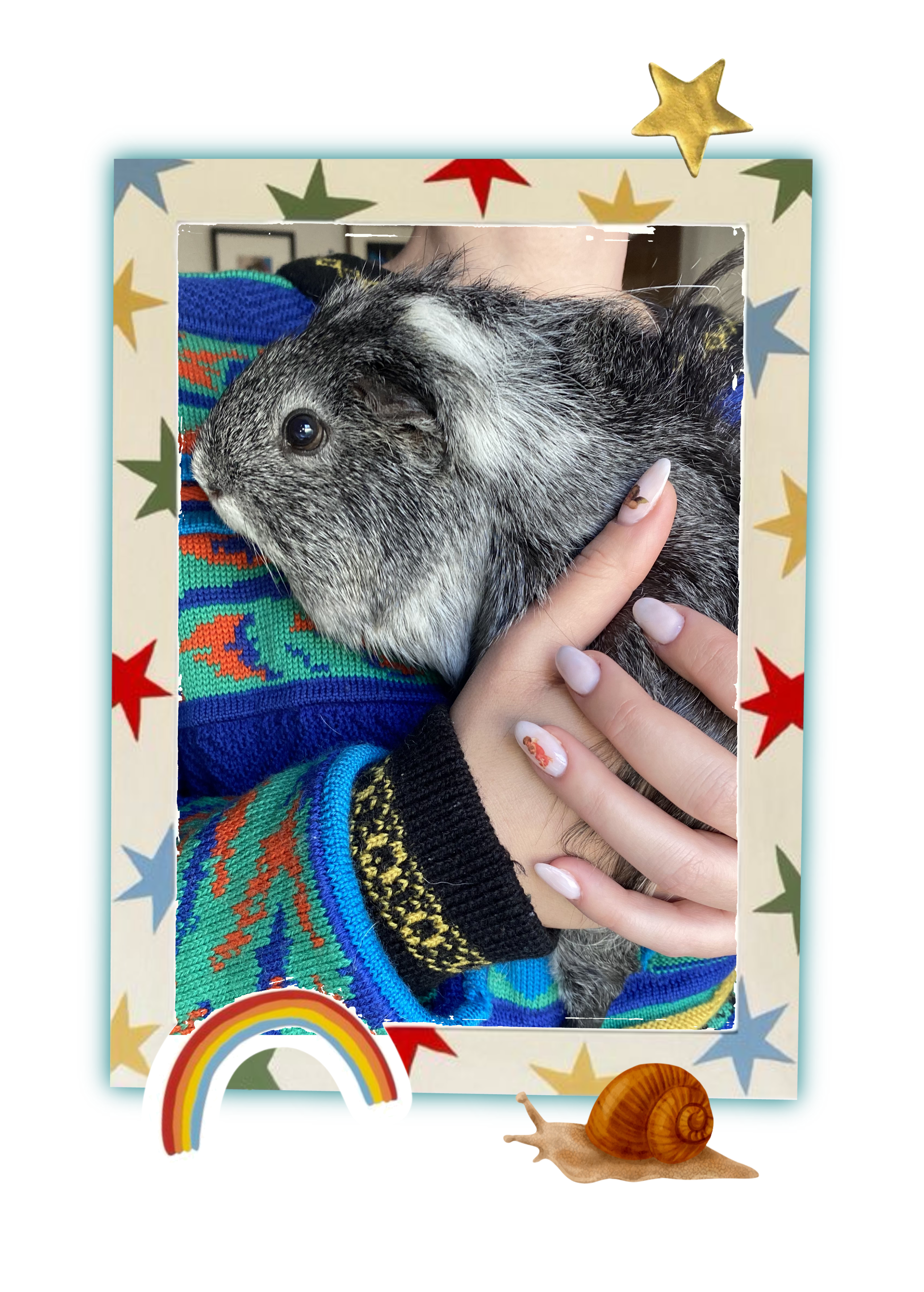 Framed photo of a Rebel Tails rescue guinea pig